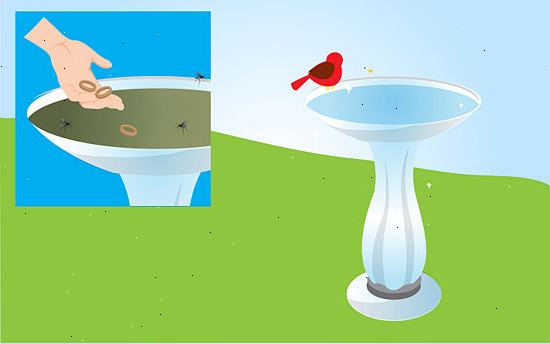 Hvordan du kan redusere risikoen for mygg infestation rundt boligen din. Sjekk verftet for elementer og områder som tillater pooling av vann.