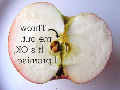 Hvordan å vokse et epletre fra et frø. Spar noen frø når du spiser et eple eller bare kjøpe noe fra butikken.