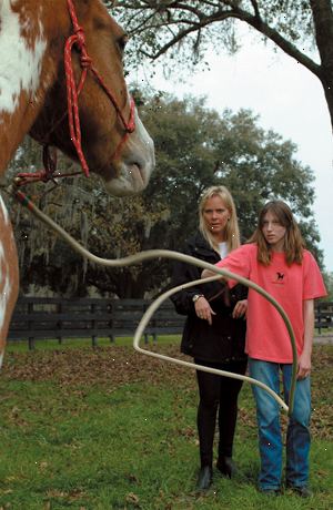 Hvordan lære hesten å stoppe biting. Få en hest fra paddock, er det viktig at du sjekker hesten før du begynner å ri.