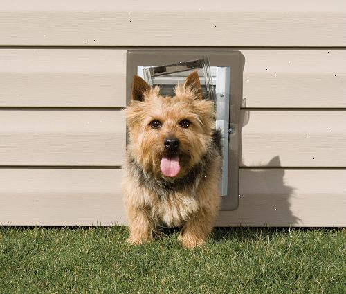 Hvordan installere et kjæledyr dør eller hund dør. Pet dører eller hund dører som monteres i skyve skjermen døren er vanligvis installert i nedre venstre eller høyre hjørne av skjermen døren avhengig av hvordan patio døren åpnes.
