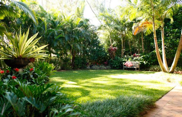 Hvordan lage en tropisk stil hage. Finn ut din lokale klima.