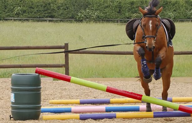 Hvordan trene en hest å hoppe. Kontroller at du har alle de nødvendige elementene.