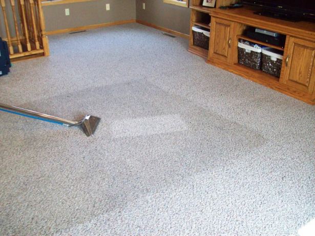 Hvordan damp ren teppe. Sjekk teppet og rug instituttet hjemmeside teppe-teppe.