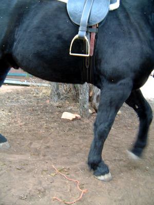 Hvordan få din hest til å stå stille for montering. Vær oppmerksom på at hvis hesten misbehaves ved montering, han sannsynligvis ikke liker å bli montert og / eller ridd.
