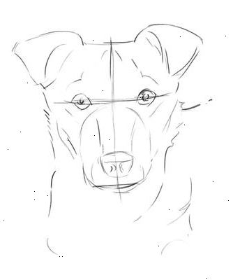 Hvordan tegne en hund ansikt. Tegn en sirkulær form og to floppy ører.