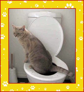 Hvordan potty trene katten din. Flytt søppel boksen inn på badet ved siden av toalettet.