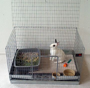 Hvordan sette opp en kanin bur. Få et ganske stort bur.