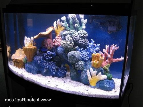 Hvordan sette opp en marin reef akvarium. Velg området av huset der du vil at tanken skal være.
