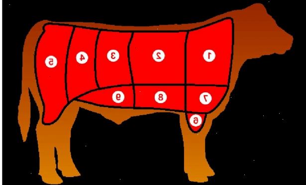 Hvordan forstå kutt av storfekjøtt. Identifiser de åtte viktigste kutt der biff er tilgjengelig.