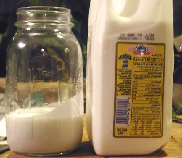 Hvordan lage kulturperler buttermilk. Legg en bakteriell starter på 6 til 8 gram av aktiv frisk kulturperler buttermilk til et rent Quart jar.