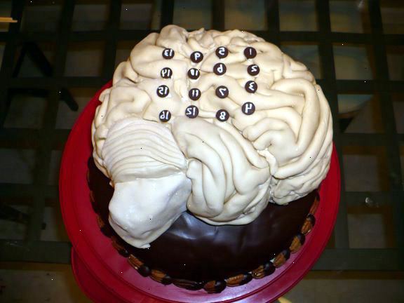 Hvordan lage en anatomisk korrekt hjernen kake. Velg en illustrasjon som mønsteret ditt.