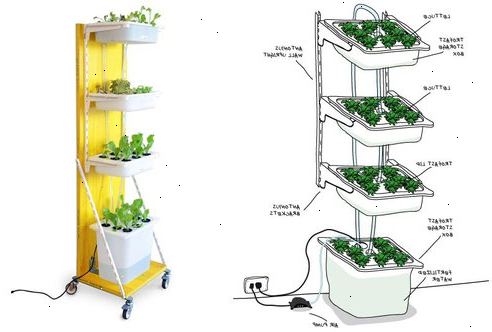 Hvordan bygge en hydroponic hage. Bestem hva du ønsker å vokse.