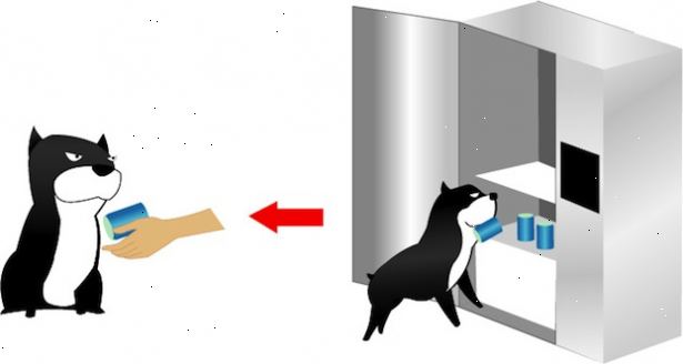 Hvordan lære hunden din å få en øl. Knyt et tau eller et håndkle til døren på kjøleskapet ditt.