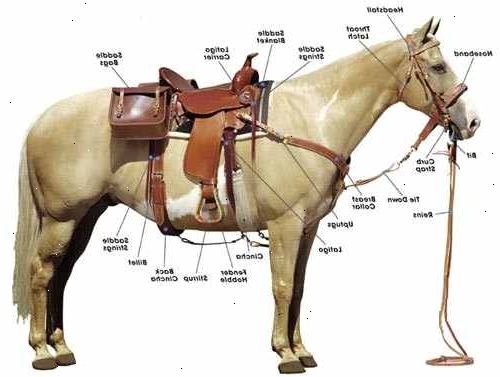Hvordan tack opp en hest. Binde hesten med kryss bånd, eller hvis du må, på en haiket innlegg.