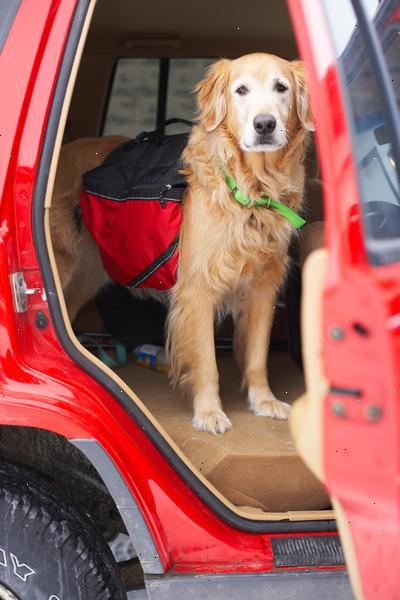 Hvordan å bringe en hund inn i USA. Reserver kjæledyret fly på samme tid du bestille din egen flyreise å sørge for at det er plass på flyet for hunden din.