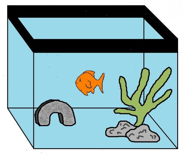 Hvordan lage en gullfisk leve i flere tiår. Få størst mulig tank.