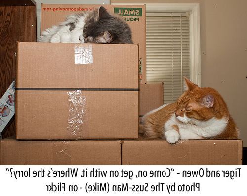 Hvordan å flytte med en katt. Begrense katten din i et rom mens du får alt sortert ut, for eksempel, pakking, møbler flytting, etc.