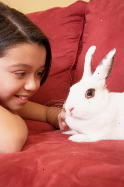 Hvordan å mate kaninen de riktige greener. Forstå hvor mye du skal gi din kanin.