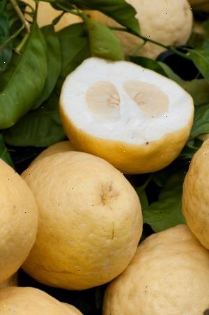 Hvordan du bruker sitrus frukt skreller i hjem og hage. Bruk kumquat peeling.
