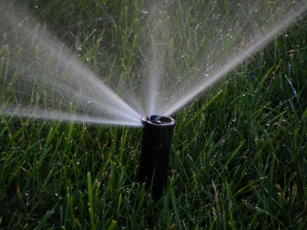 Hvordan å vanne plenen effektivt. Vann bare når gresset trenger det.