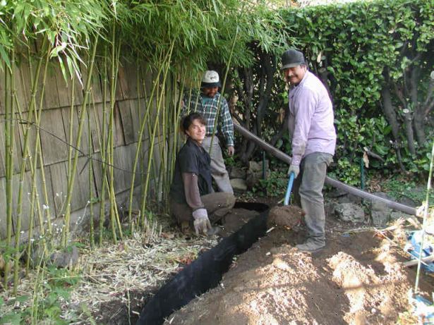 Hvordan du installerer en bambus jordstengler barriere. Bestemme arealet til å inneholde i bambus.