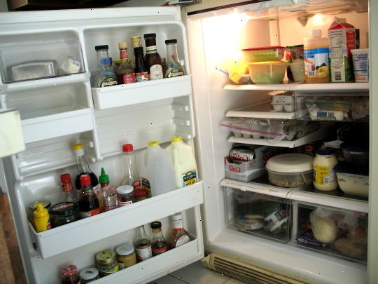 Hvordan å ordne kjøleskap hyller. Ta alt ut av kjøleskapet.