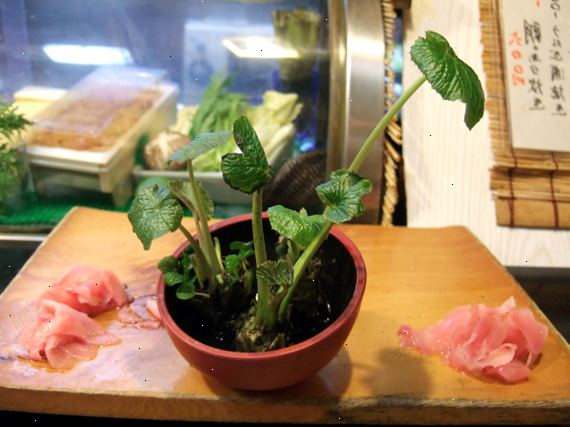 Hvordan å vokse wasabi. Kontroller at du har et areal på jord som er godt drenert og avløp lett.
