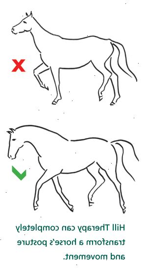 Hvordan få en hest i form. Etter å ha undersøkt et godt treningsprogram, skrive ut et tilpasset program for din hest, en uke om gangen.