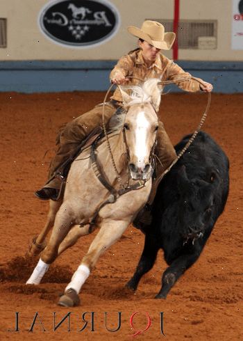 Hvordan å konkurrere i et vestlig showmanship klasse. Før du går inn for en showmanship klasse, må du sørge for at du har riktig hesteutstyr og antrekk.