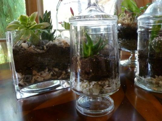 Hvordan lage en bug terrarium. Få en brukt glass akvarium og fylle det med hagejord til rundt en fjerdedel av akvariet er full.