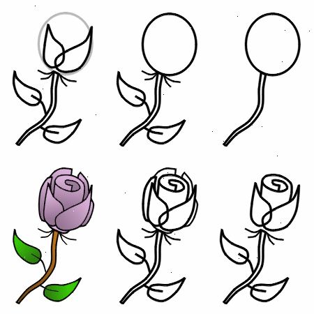 Hvordan å tegne en rose. Lett tegne en vertikal linje som veiledning for stammen din.