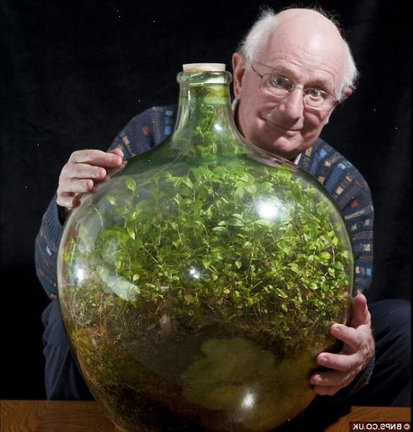 Hvordan å vokse en hage i en flaske. Snu flasken på sin side.