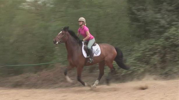 Hvordan holde balansen på en galopperende hest. Øv stå opp i stigbøyler i trav eller galopp.