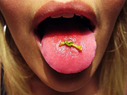 Hvordan å knytte en knute i et kirsebær stilk med tungen din. Velg en passende stammen.